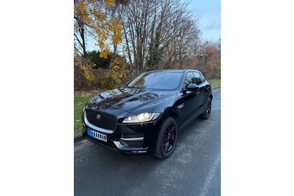 Jaguar F-Pace Gebrauchtwagen