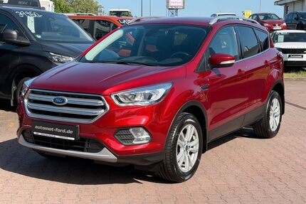 Ford Kuga Gebrauchtwagen