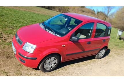 Fiat Panda Gebrauchtwagen