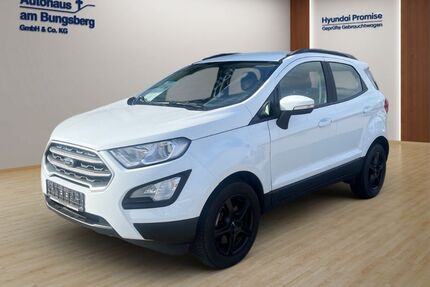 Ford EcoSport Gebrauchtwagen