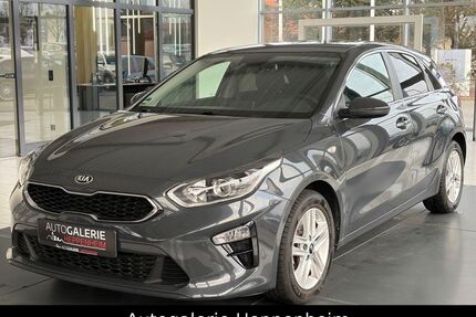 Kia ceed / Ceed Gebrauchtwagen