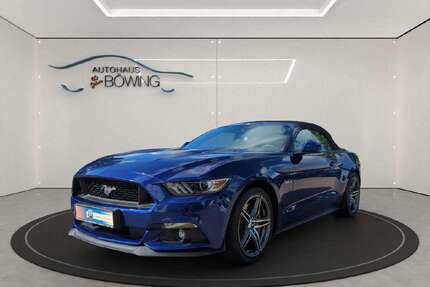 Ford Mustang Gebrauchtwagen