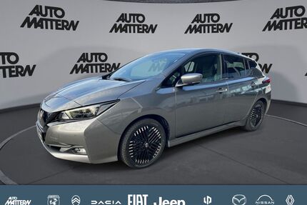 Nissan Leaf Gebrauchtwagen