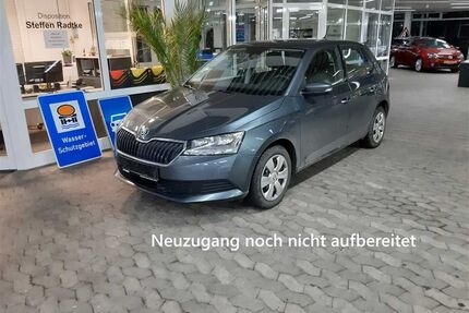 Skoda Fabia Gebrauchtwagen