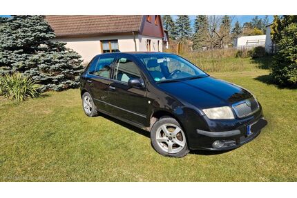 Skoda Fabia Gebrauchtwagen