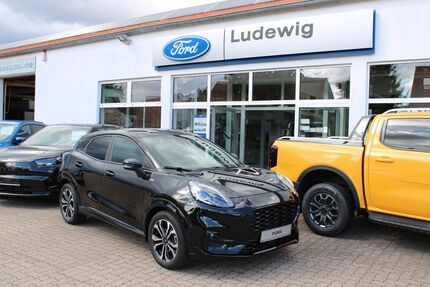Ford Puma Gebrauchtwagen