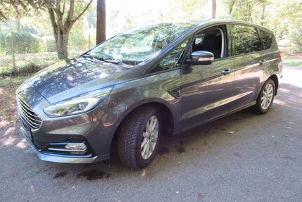 Ford S-Max Gebrauchtwagen