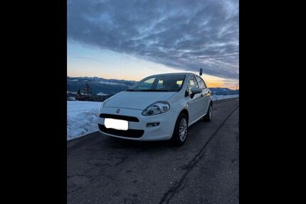 Fiat Punto Gebrauchtwagen