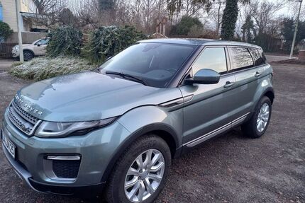 Land Rover Range Rover Evoque Gebrauchtwagen