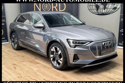 Audi e-tron Gebrauchtwagen