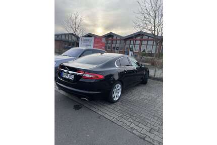 Jaguar XF Gebrauchtwagen