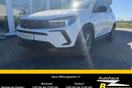 Opel Grandland (X) Gebrauchtwagen