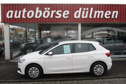 Skoda Fabia Gebrauchtwagen