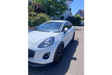 Ford Puma Gebrauchtwagen