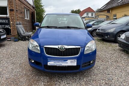 Skoda Fabia Gebrauchtwagen