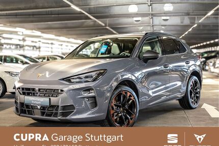 Cupra Terramar Gebrauchtwagen
