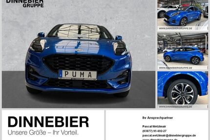 Ford Puma Gebrauchtwagen