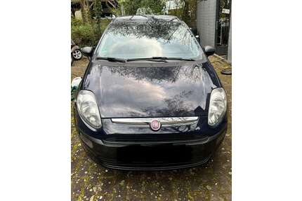 Fiat Punto Gebrauchtwagen