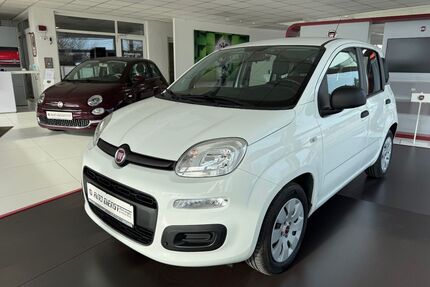 Fiat Panda Gebrauchtwagen