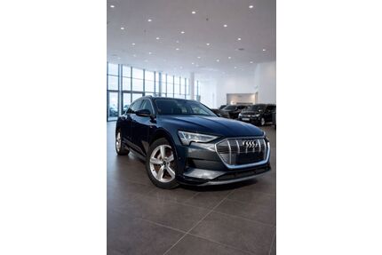 Audi e-tron Gebrauchtwagen