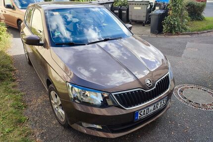 Skoda Fabia Gebrauchtwagen