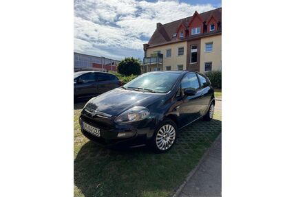 Fiat Punto Gebrauchtwagen
