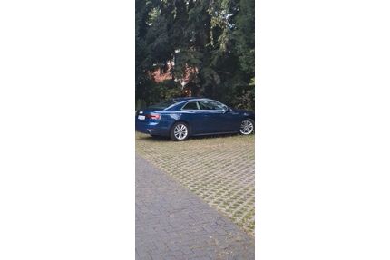 Audi A5 Gebrauchtwagen