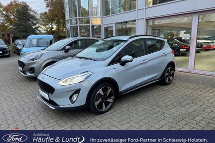 Ford Fiesta Gebrauchtwagen