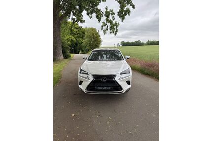 Lexus NX 300 Gebrauchtwagen