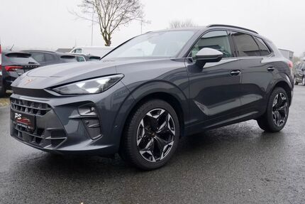 Cupra Terramar Gebrauchtwagen