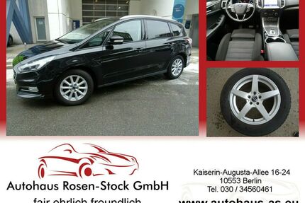Ford S-Max Gebrauchtwagen