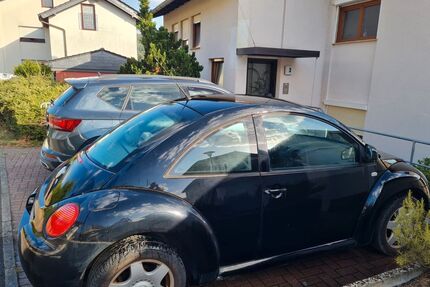 VW Beetle Gebrauchtwagen