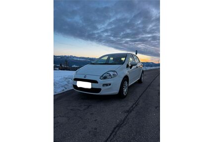 Fiat Punto Gebrauchtwagen