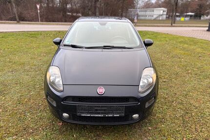 Fiat Punto Gebrauchtwagen