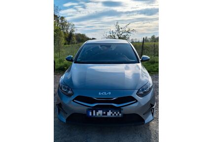 Kia ceed / Ceed Gebrauchtwagen