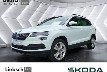 Skoda Karoq Gebrauchtwagen