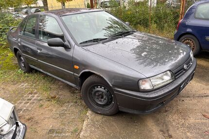 Nissan Primera Gebrauchtwagen