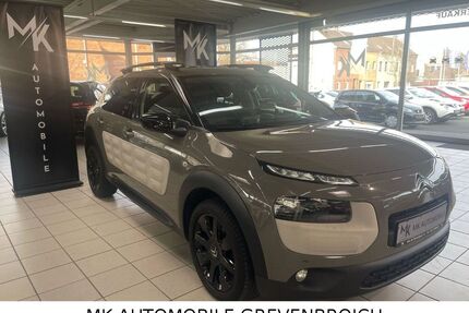 Citroen C4 Cactus Gebrauchtwagen