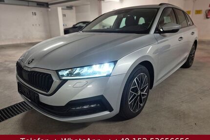 Skoda Octavia Gebrauchtwagen