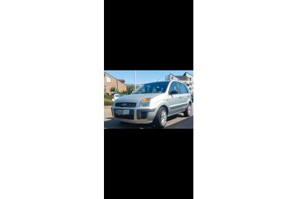 Ford Fusion Gebrauchtwagen