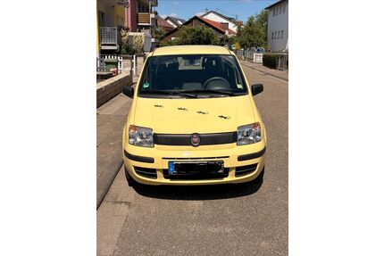 Fiat Panda Gebrauchtwagen
