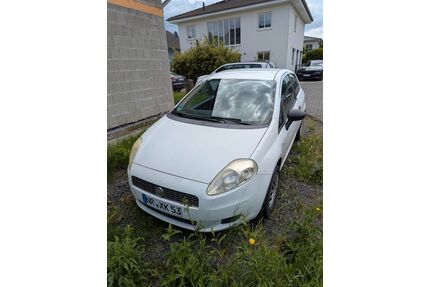 Fiat Punto Gebrauchtwagen