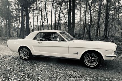 Ford Mustang Gebrauchtwagen