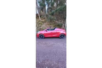 Renault Wind Gebrauchtwagen