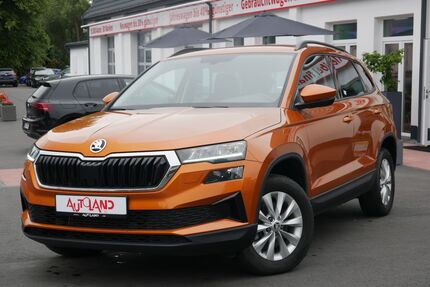 Skoda Karoq Gebrauchtwagen