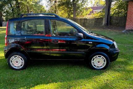 Fiat Panda Gebrauchtwagen