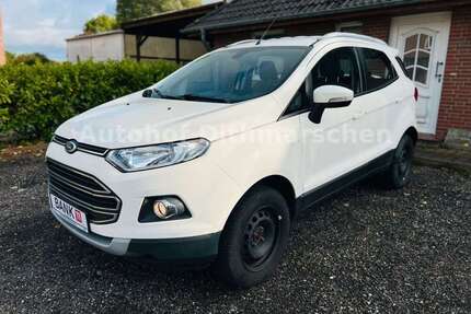 Ford EcoSport Gebrauchtwagen