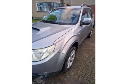 Subaru Forester Gebrauchtwagen