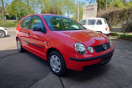 VW Polo Gebrauchtwagen