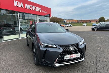 Lexus UX Gebrauchtwagen